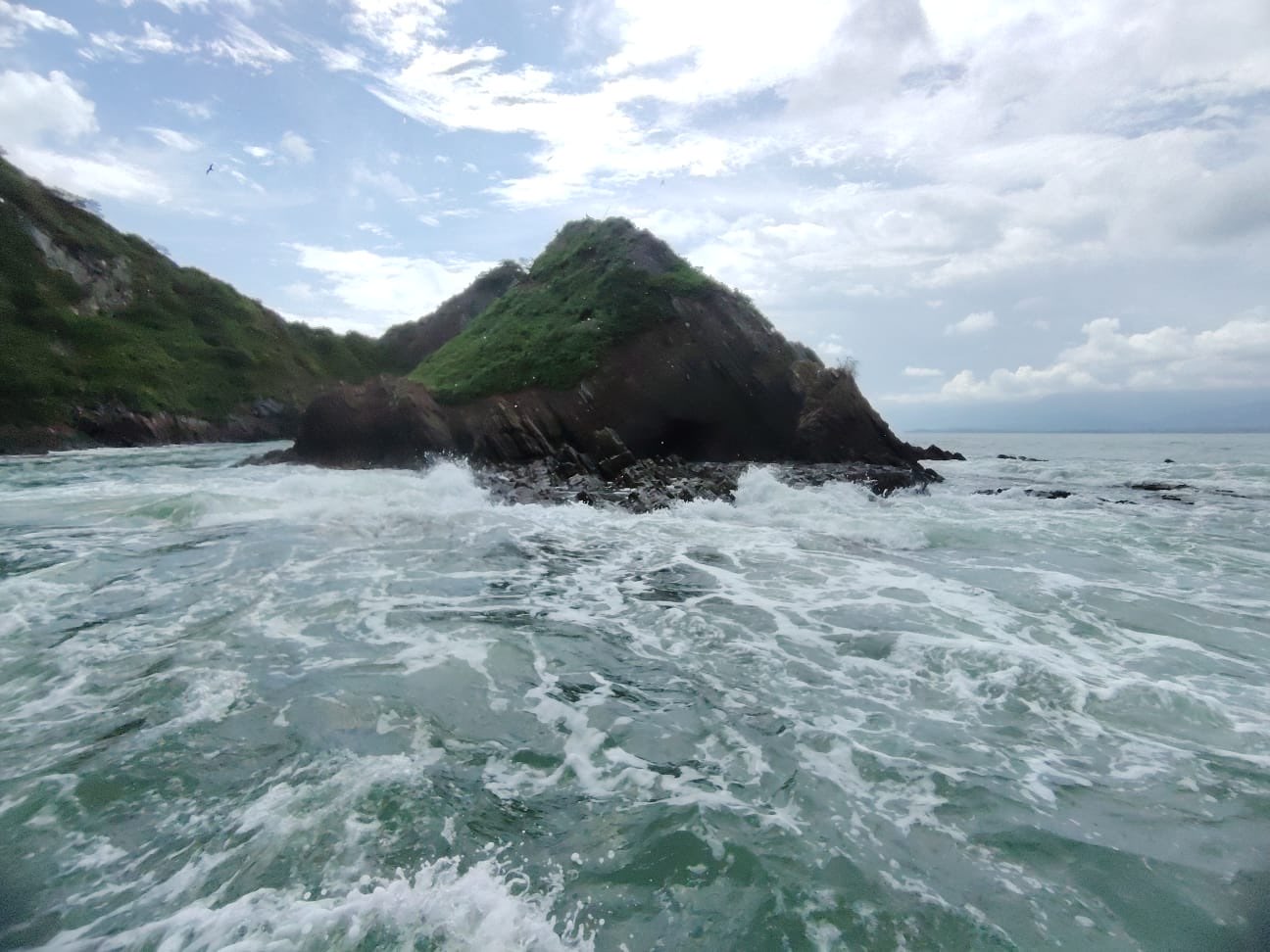 Whale watching panorama