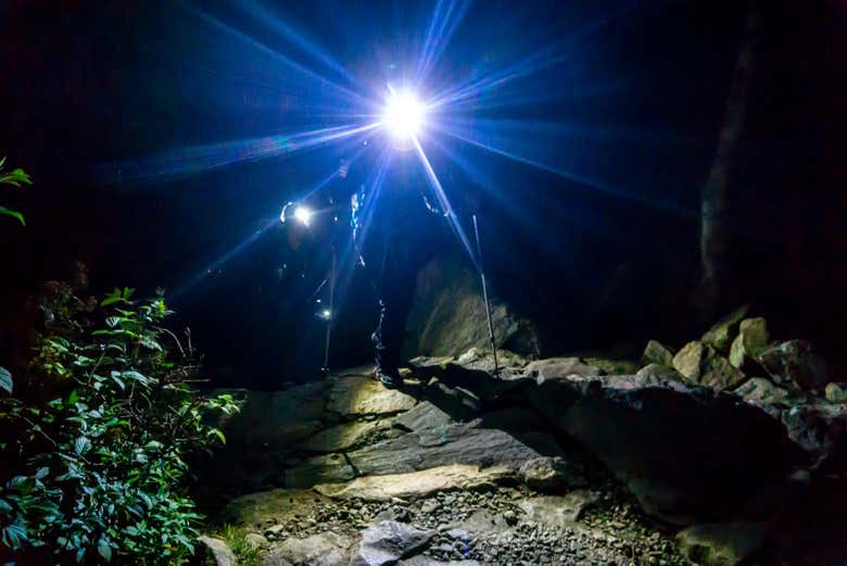 Night walk in the jungle